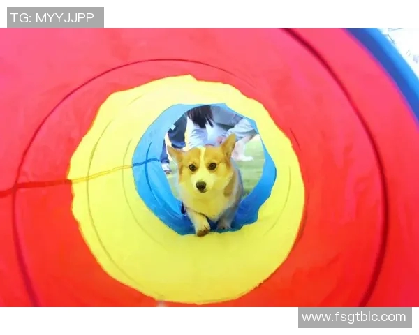 杭州极限运动队的整体压制与运动热潮的深度解析