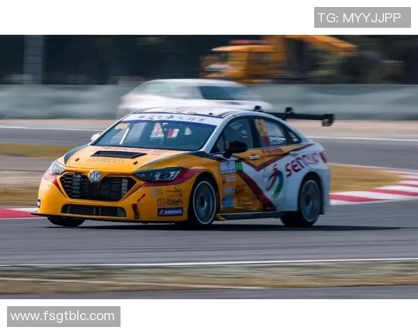 上海排球队以77分领跑挑战赛积分榜展现强劲实力与团队合作精神